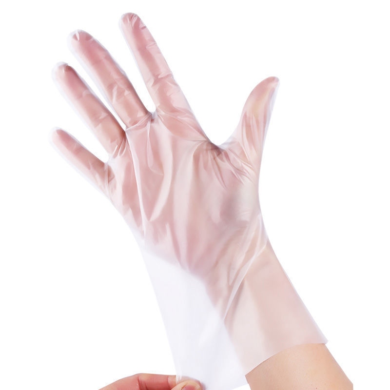 Food grade glove disposable gloves catering kitchen waterproof and oil proof protective wholesale